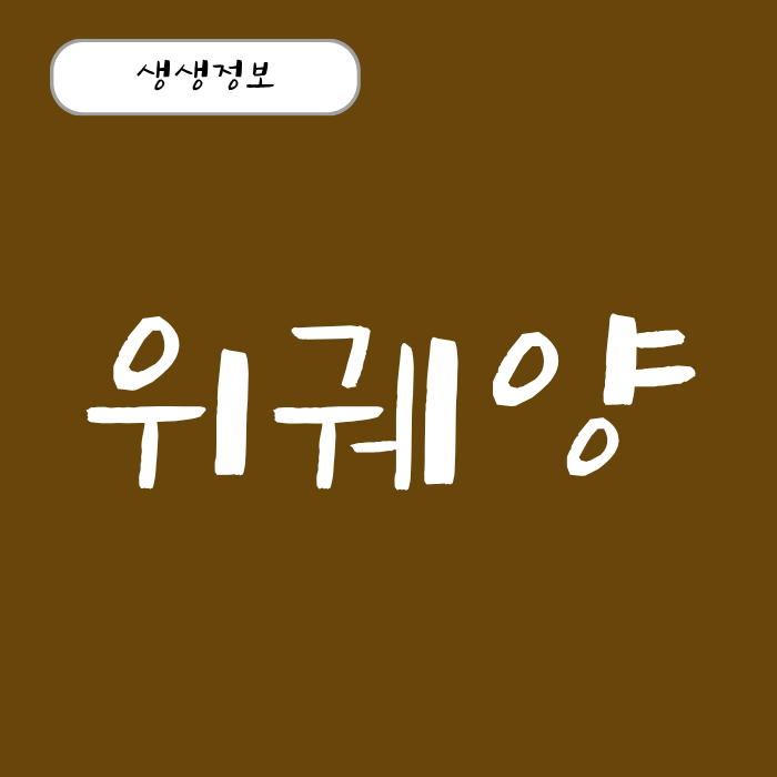 위궤양 원인과 증상 치료법 약, 전조증상 응급실 갈 타이밍