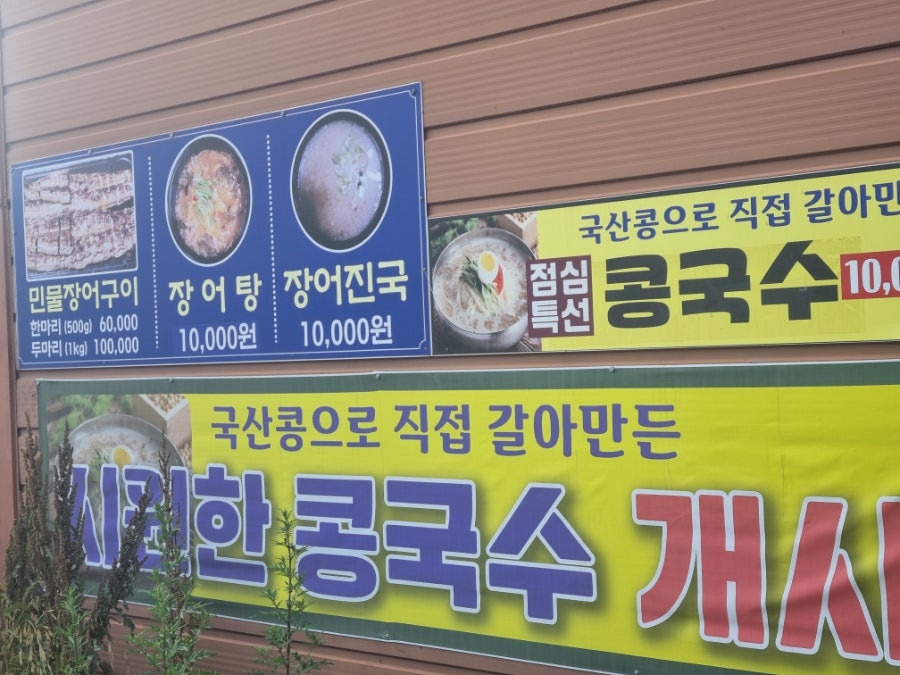 오송민물장어 사진 4