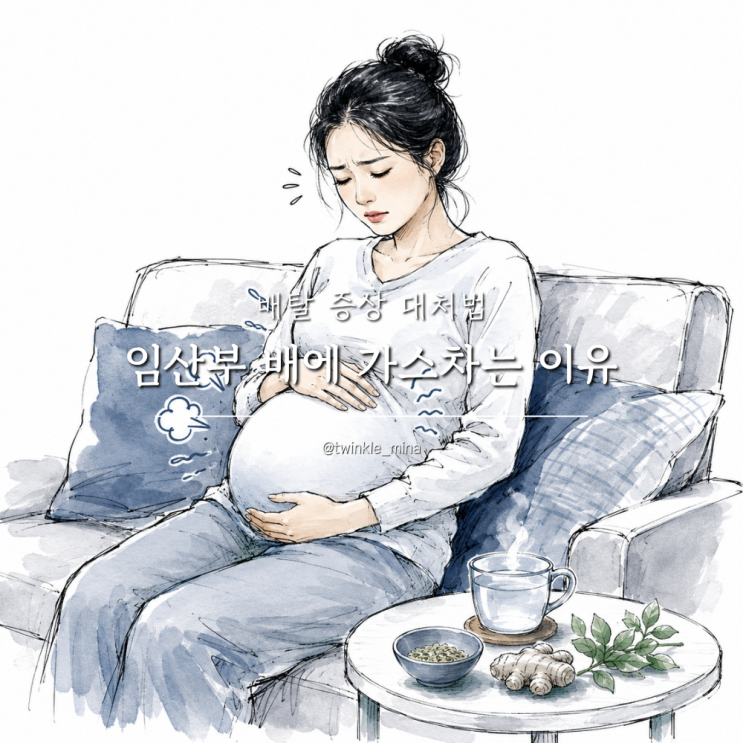  임산부 가스 배에 가스차는 이유 배탈 증상 대처법