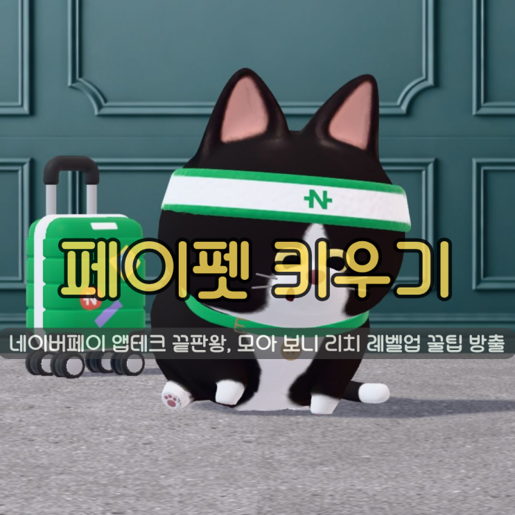  네이버페이 페이펫 키우기 | 포인트 적립 앱테크 끝판왕, 모아 보니 리치 레벨업 꿀팁 방출