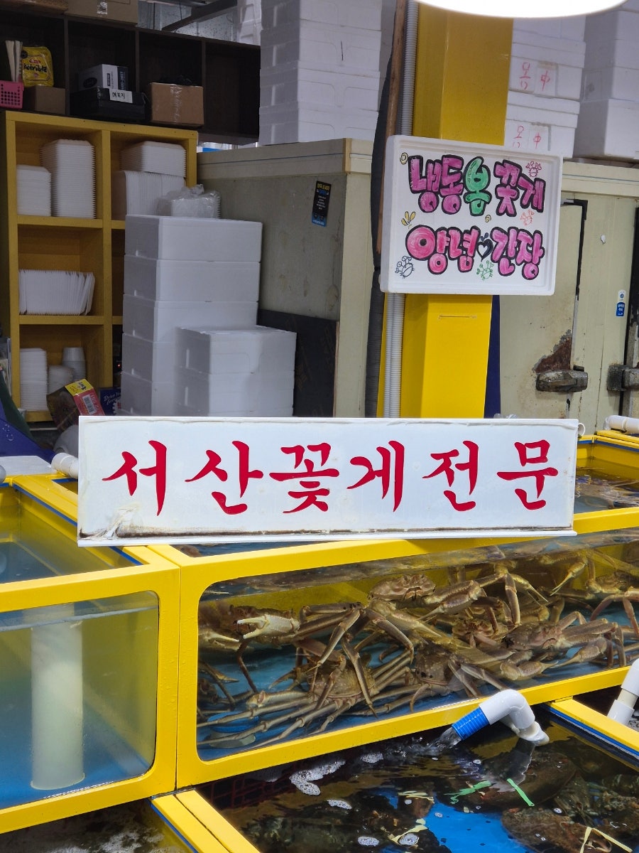 돌고래식당 사진 3