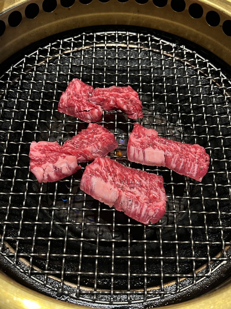  후쿠오카 소고기 무한리필 : 원갈비 프리미엄 텐진 / 예약부터 주문 꿀팁까지!