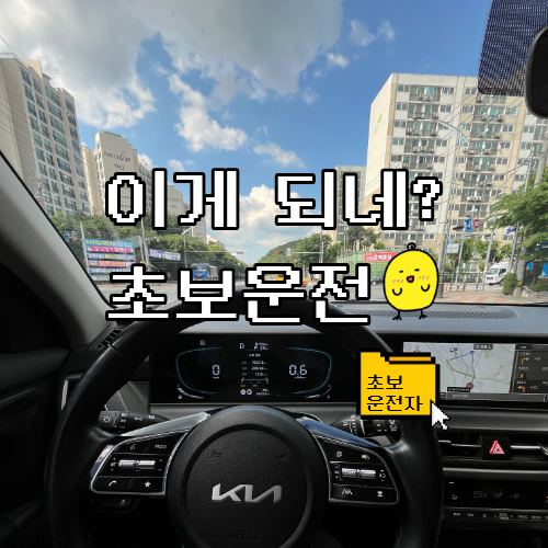 장롱면허도 가능했다! 초보운전자의 쏘카 셀토스 2시간 운전 후기