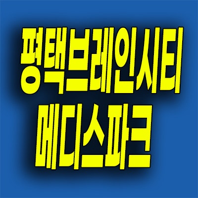  평택 로제비앙 모아엘가 미분양아파트 브레인시티 메디스파크 분양가