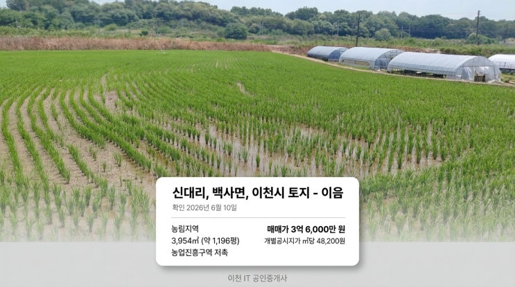  이천 백사면 신대리 답 3,954 , 농업경영 목적 토지 현황 정리
