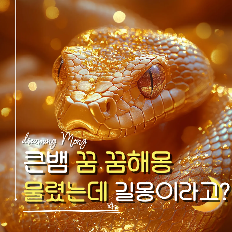 큰뱀 꿈 해몽, 물리는 꿈부터 잡는 꿈까지 의미 분석