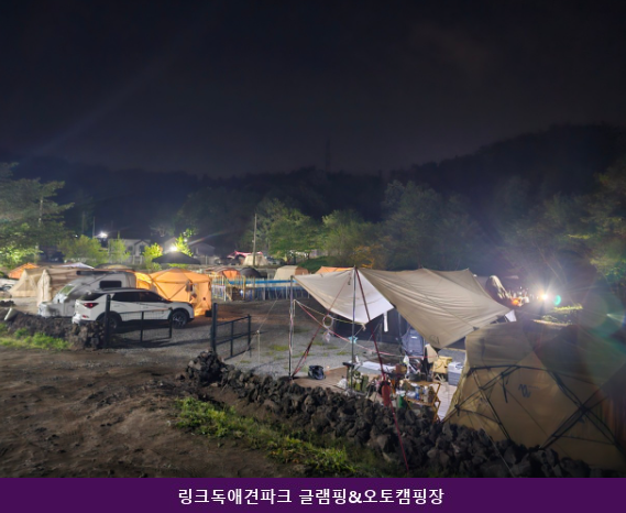 링크독애견파크 사진 4