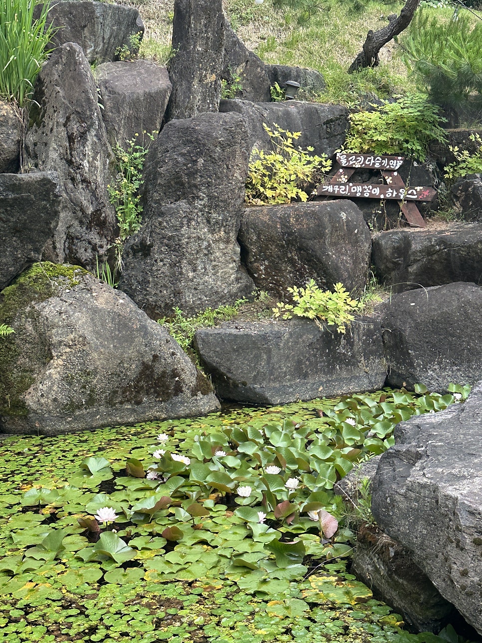 주봉산 사진 5