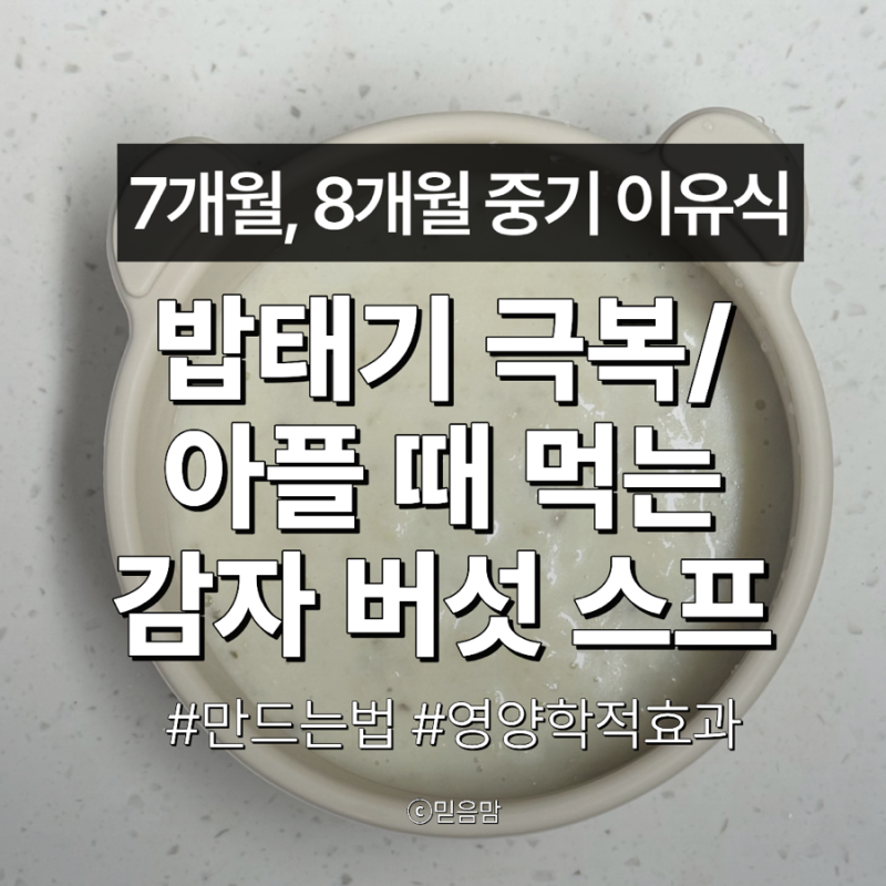 7개월 8개월 중기 이유식 아기: 아플 때 또는 밥태기 추천 만드는 법