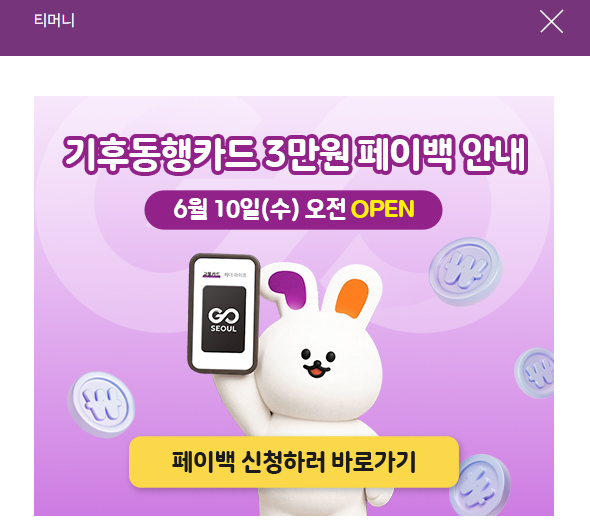 [기후동행카드 환급] 기동카 3만원 페이백 신청 방법