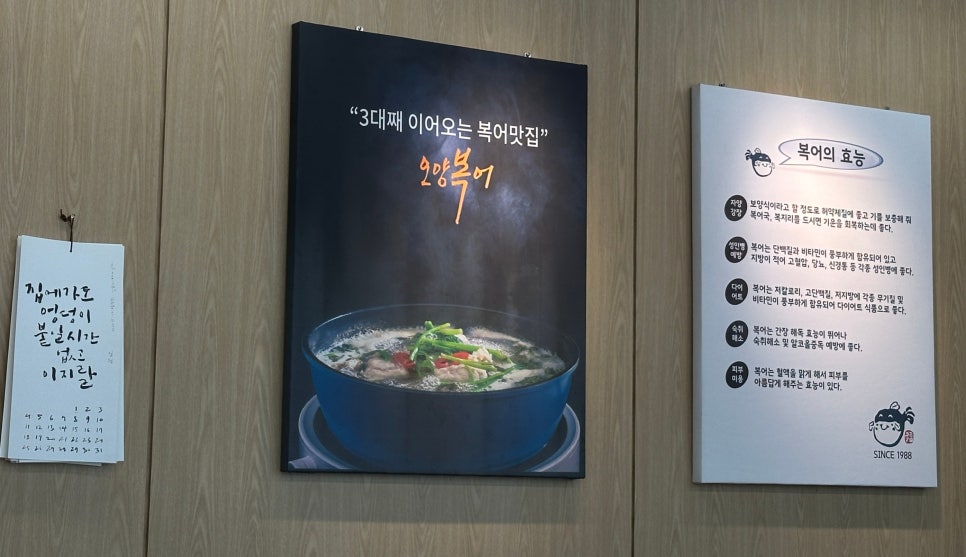 오양복어 사진 5