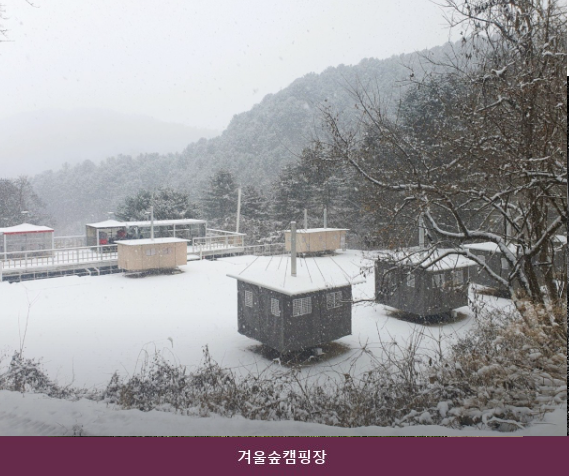 겨울숲캠핑장 사진 4