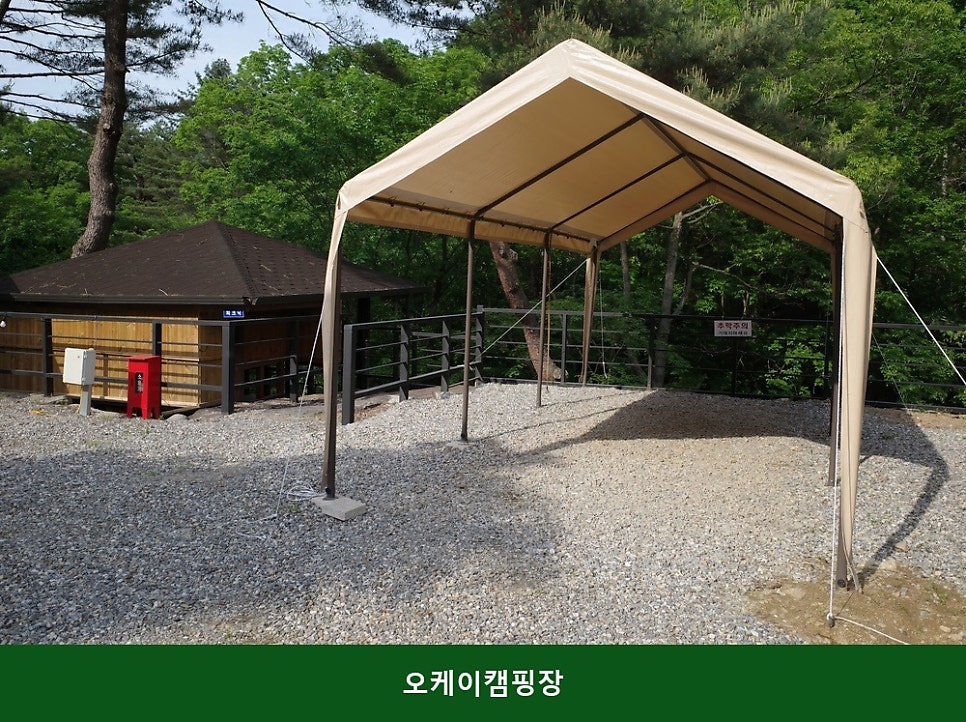 오케이캠핑장 사진 3