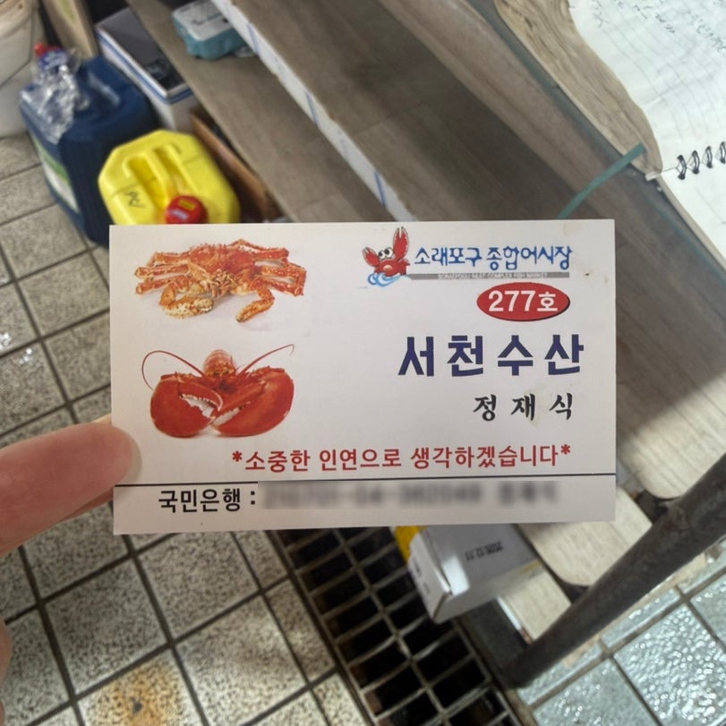 쌍둥이네 사진 6