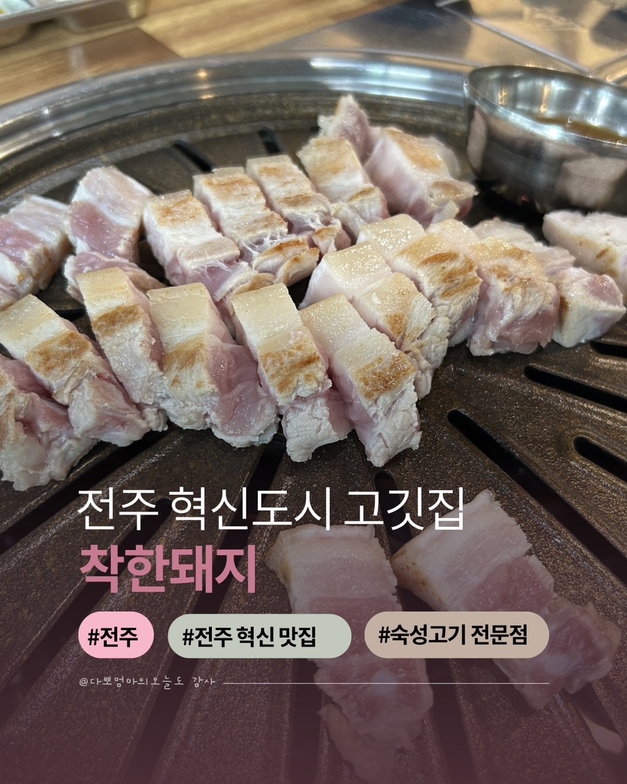 착한돼지 사진 1