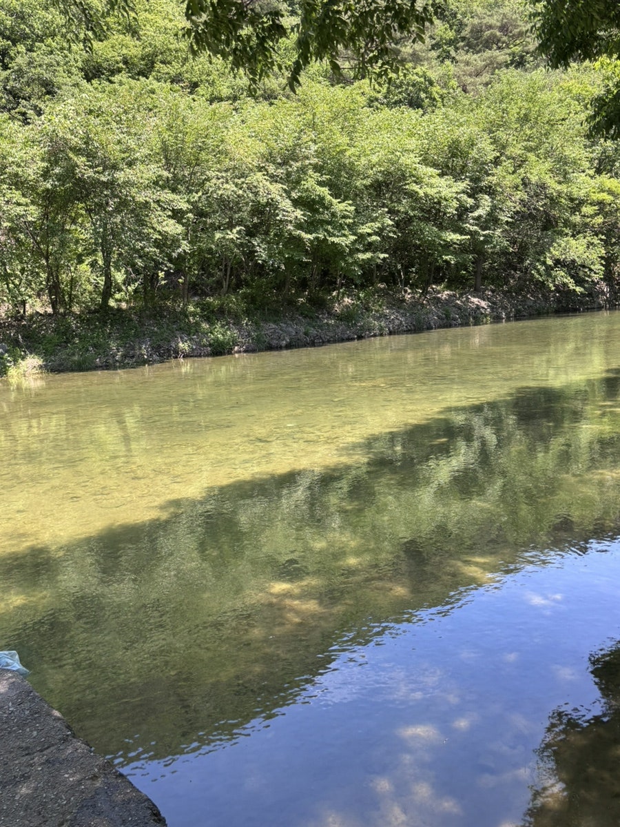 산여울가든 사진 5