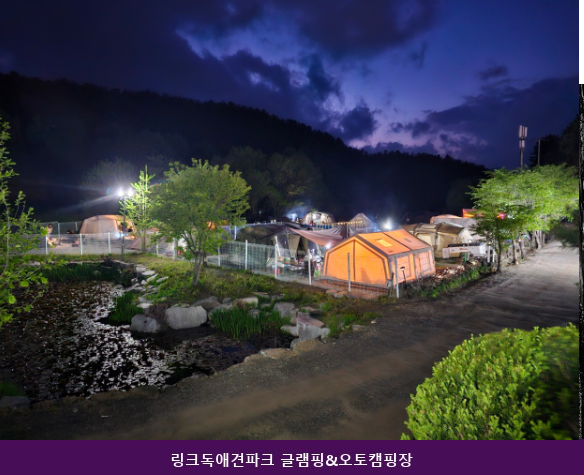 링크독애견파크 사진 1