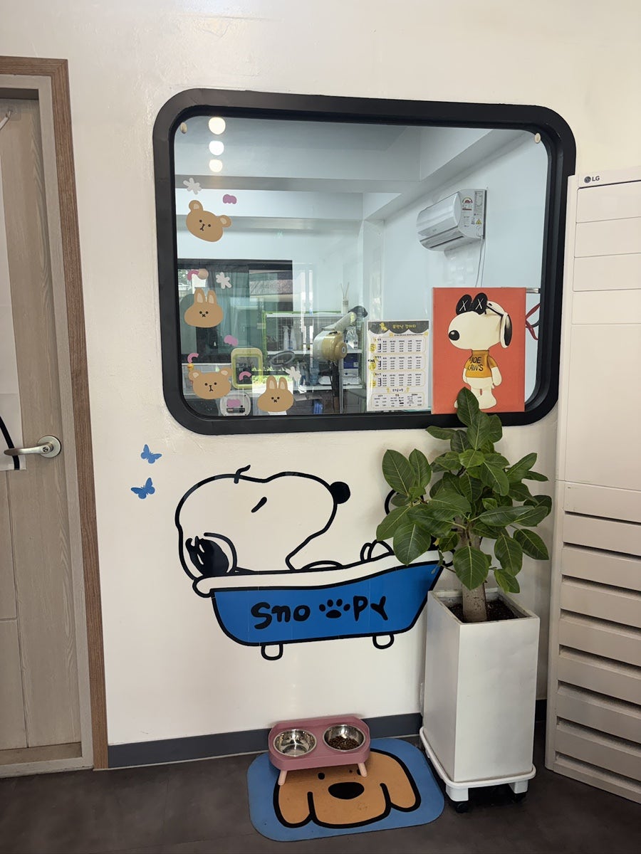 물만난강아지 사진 3