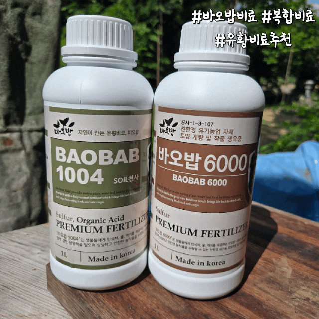 이상기후 극복! 고추밭에 '바오밥 투바오' 친환경 유황비료 챙겨준 솔직 후기
