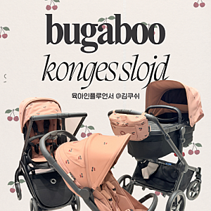 부가부 콩제슬래드 체리 컬렉션(ft.디럭스, 절충형, 휴대용 유모차 비교)