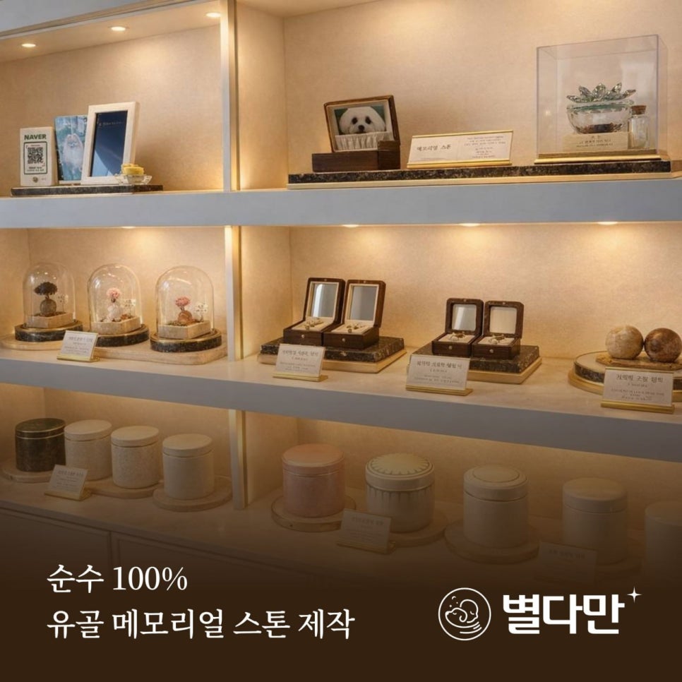 화정힐동물병원 사진 6