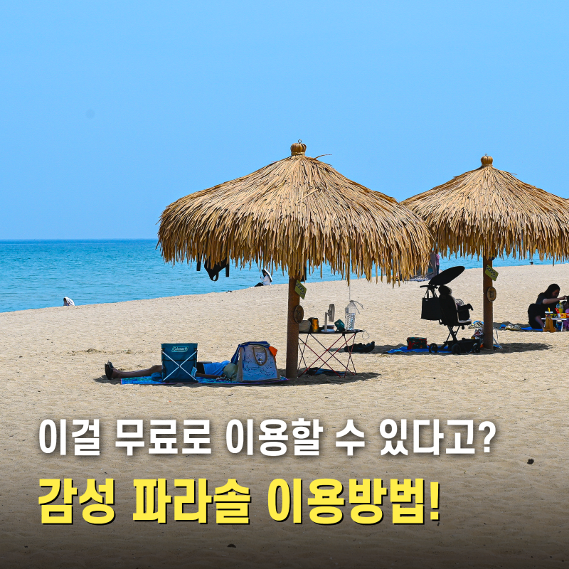 강원도 양양 가볼만한곳 낙산해수욕장 개장 파라솔 양양바다 해변 놀거리