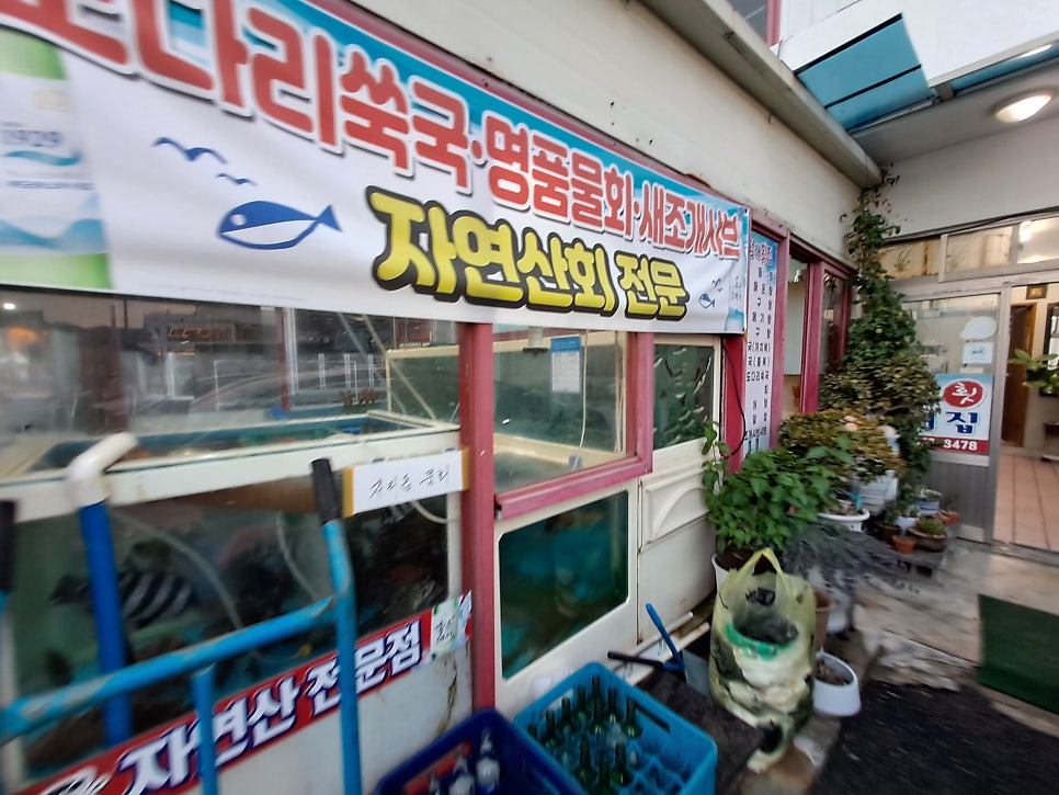 청해횟집 사진 2