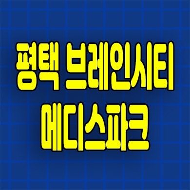  평택 브레인시티 로제비앙 모아엘가 미분양 장안동 메디스파크 분양가