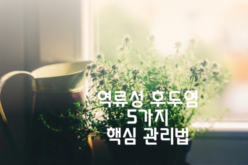'역류성 후두염' 원인과 5가지 핵심 관리법