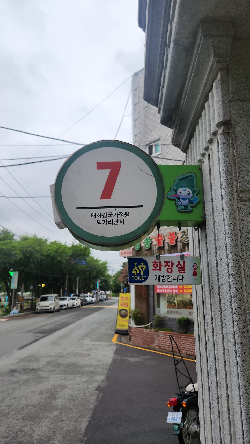 용낙지 사진 2
