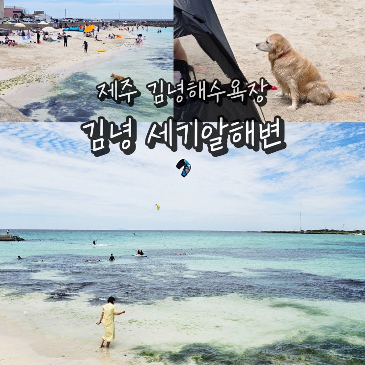  제주 동쪽 아이와 가볼만한곳 제주도 김녕 해수욕장 세기알 해변