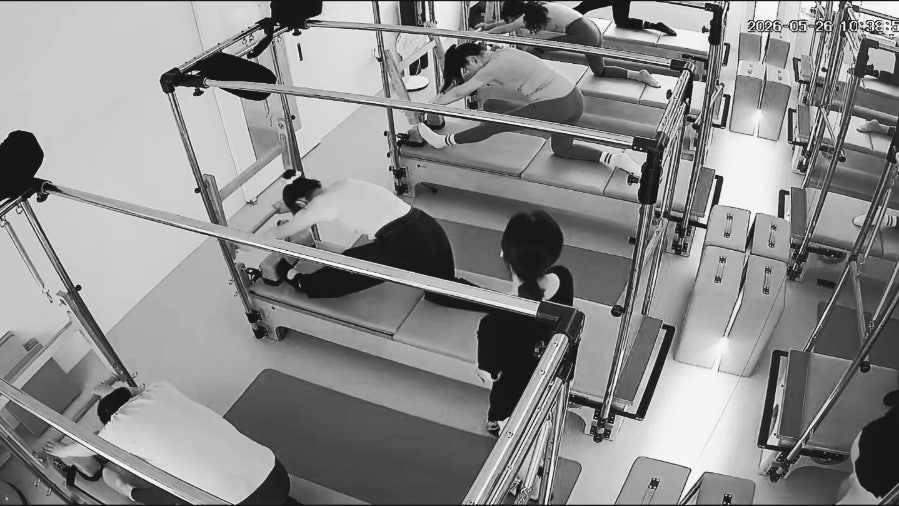 다시,봄 사진 8