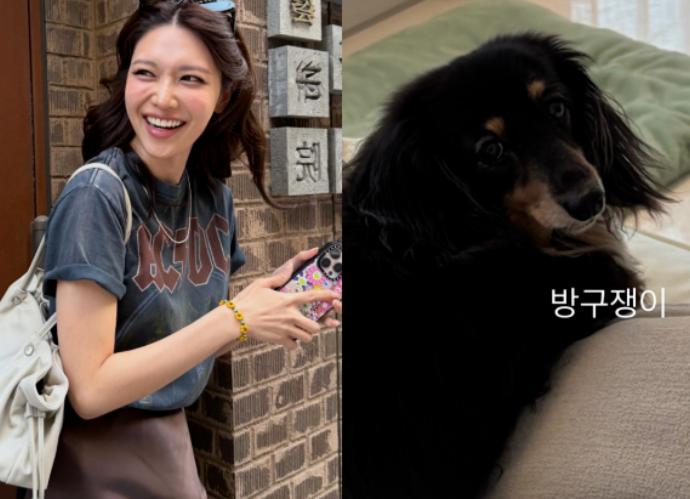 “결혼할 줄 알았는데...” 정경호·최수영 14년 열애 마침표, 팬들 울컥한 반려견 ‘호영이’
