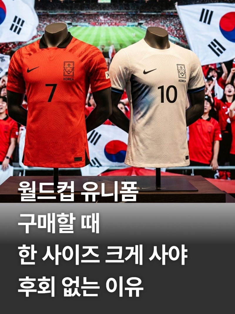 축구 월드컵 국가대표 유니폼 정품 구매처 및 선수용 일반용 사이즈 팁