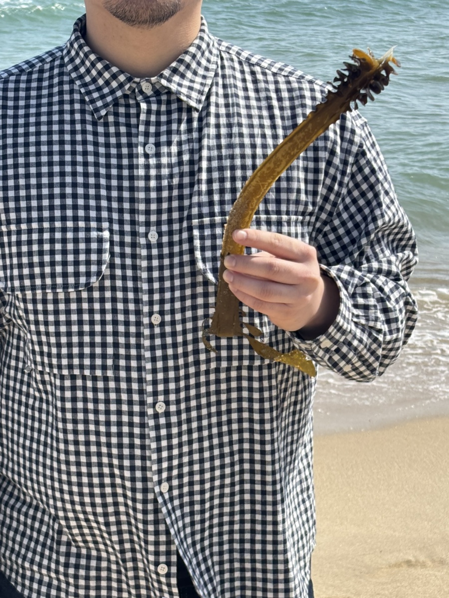 부산밀면돼지국밥 사진 3