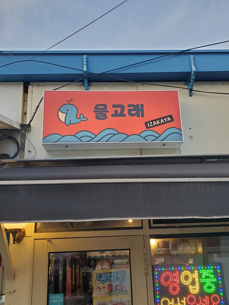 물고래 사진 1