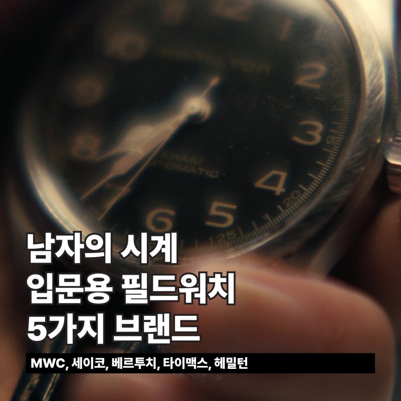 남자의 시계. 입문용 필드워치 5가지 브랜드 (WMC, 세이코, 베르투치, 타이맥스, 헤밀턴)