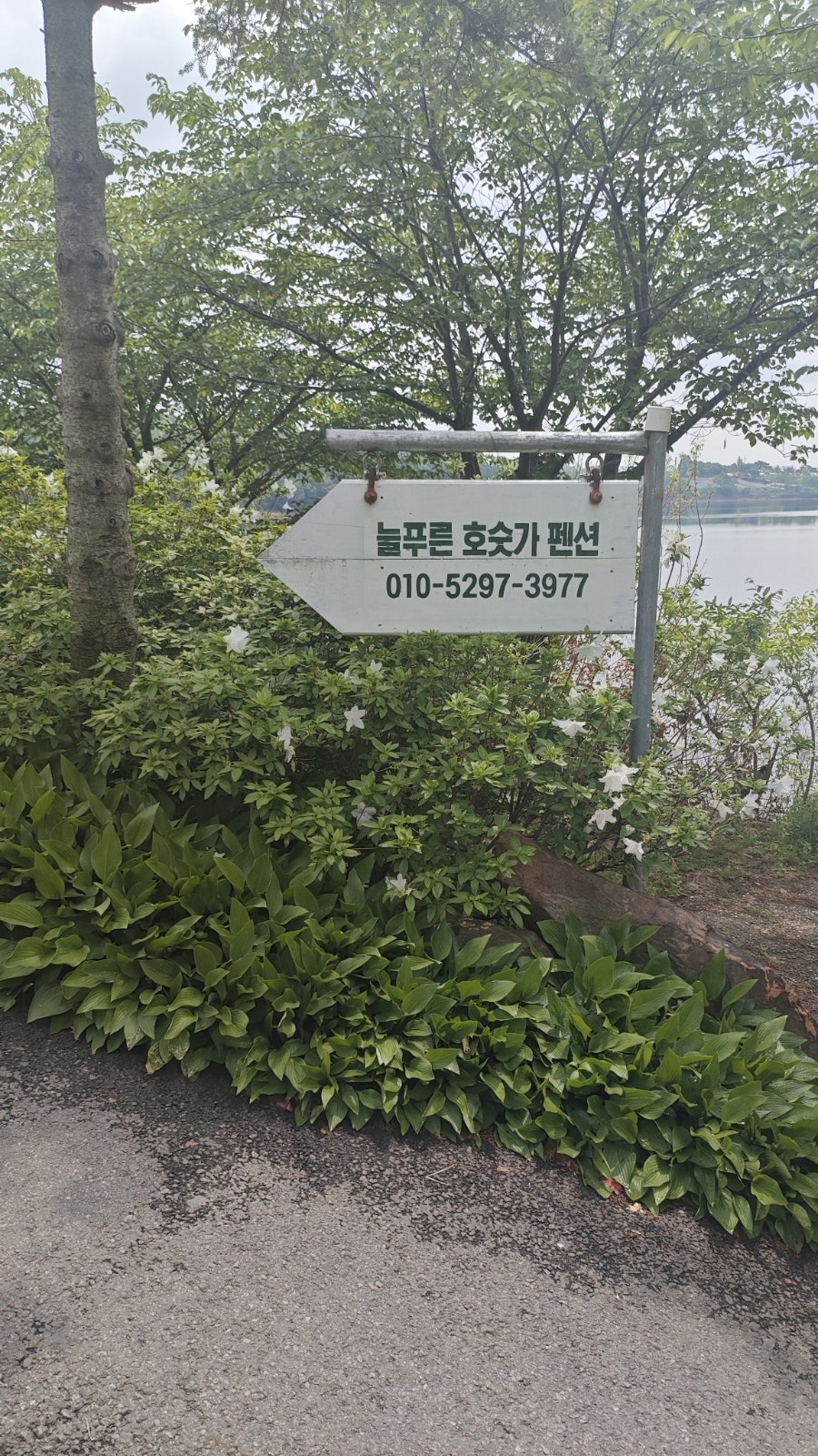 늘푸른호숫가펜션 사진 3