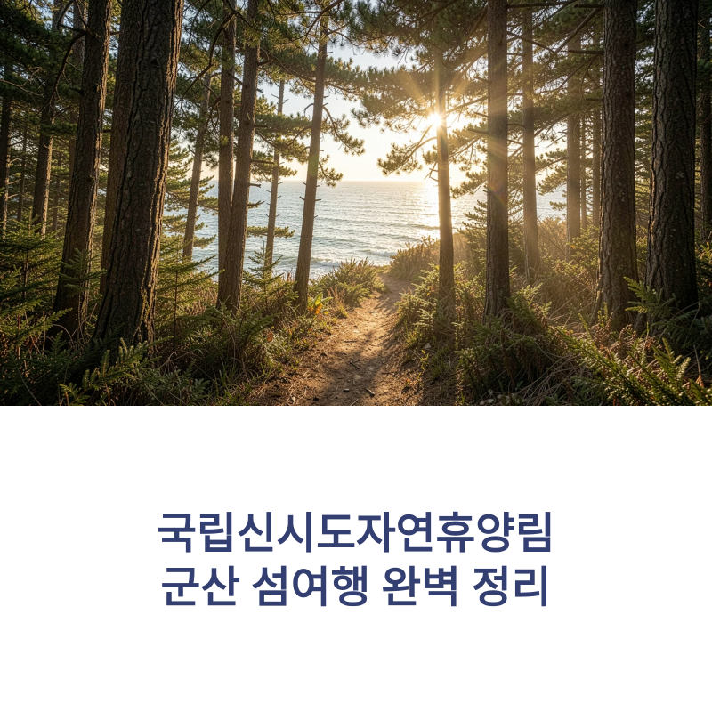 국립신시도자연휴양림 예약부터 숙박 요금까지 군산 섬여행 정리