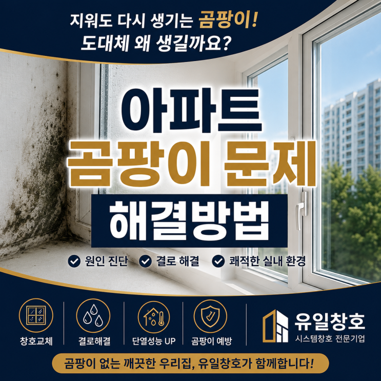  아파트 곰팡이 문제 해결방법 | 반복되는 곰팡이의 원인부터 해결까지