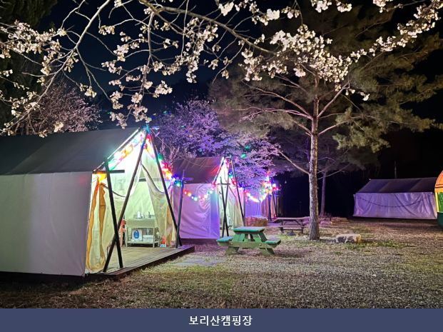 보리산캠핑장 사진 5