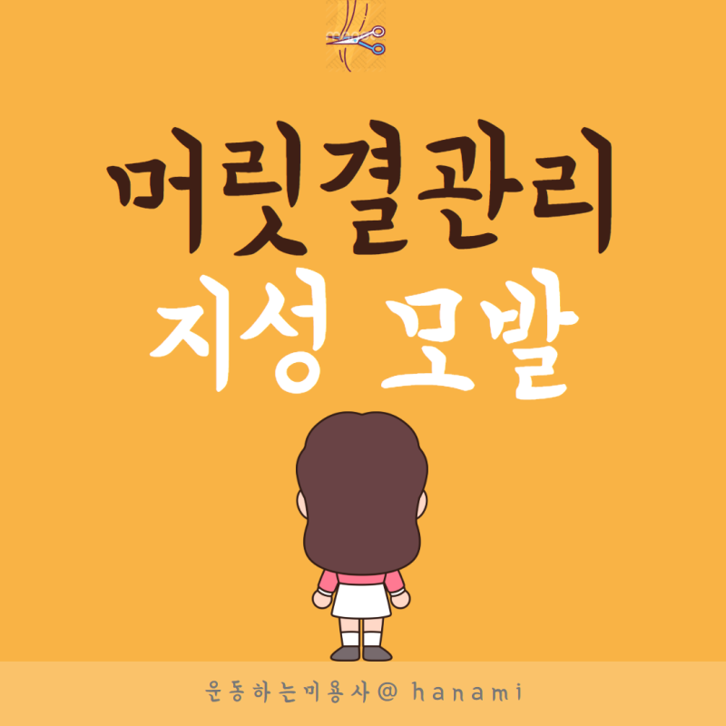 지성 모발 뜻 ?