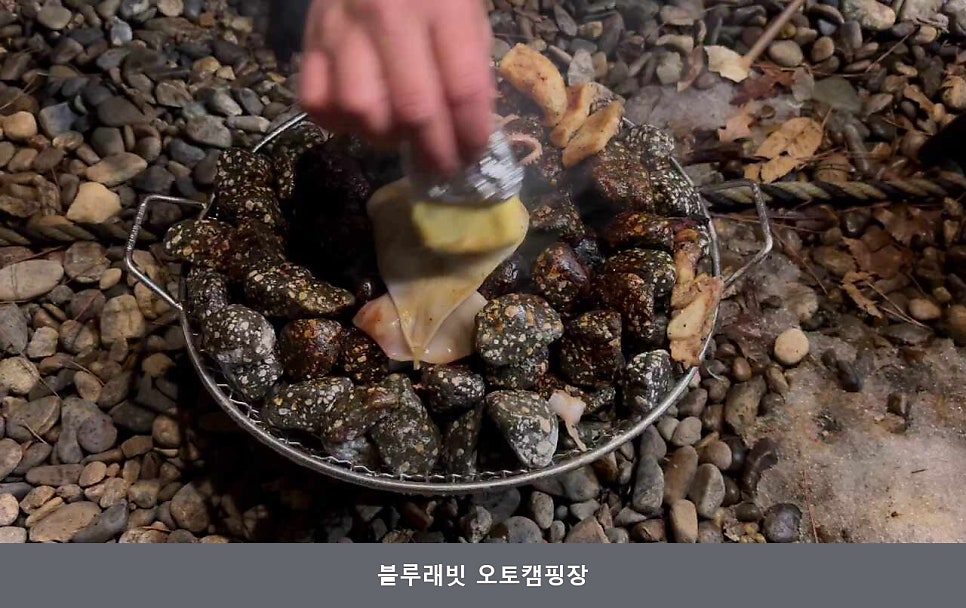 블루래빗 사진 4