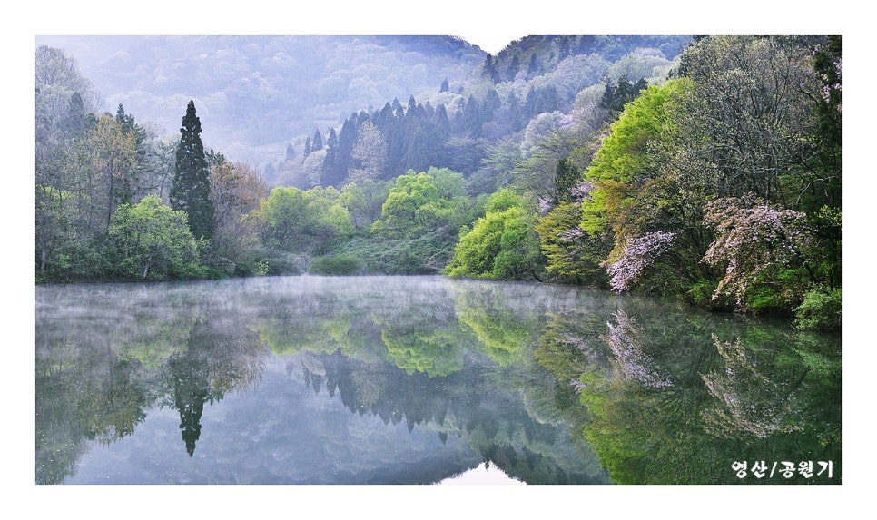 세량제 사진 6