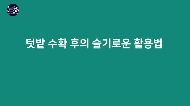  텃밭  수확 후의 슬기로운 활용법