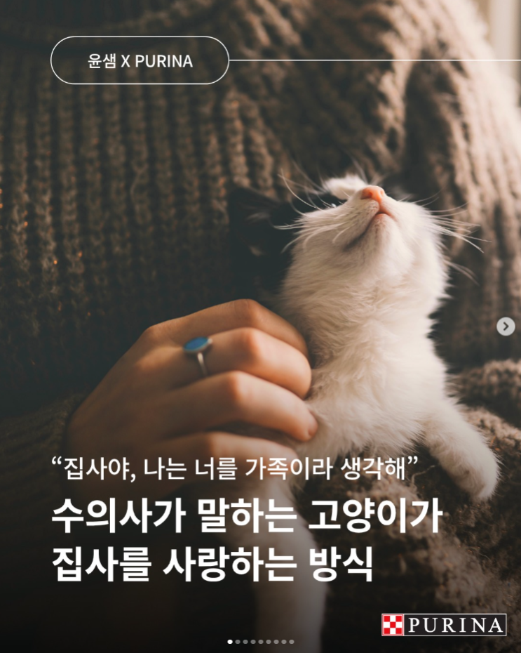 고양이가 사람을 어떻게 생각할까?