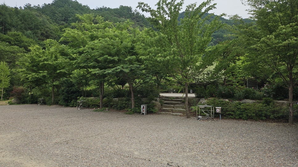 사가록캠핑장 사진 4
