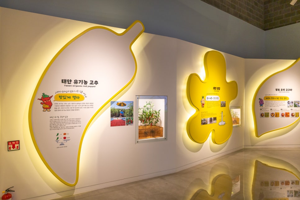 동학농민혁명기념관 사진 6