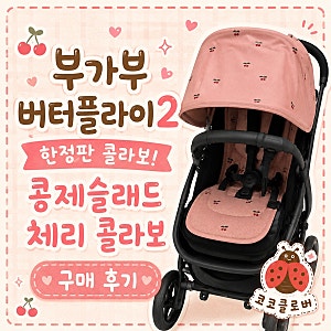 부가부 버터플라이2와 콩제슬래드 체리 콜라보 구매후기, 보자마자 반해버렸어요