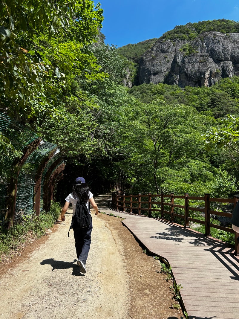 국내여행 1박2일 6월 청송 가족여행(소노벨청송, 솔샘온천, 주왕산, 달기약수, 주산지)